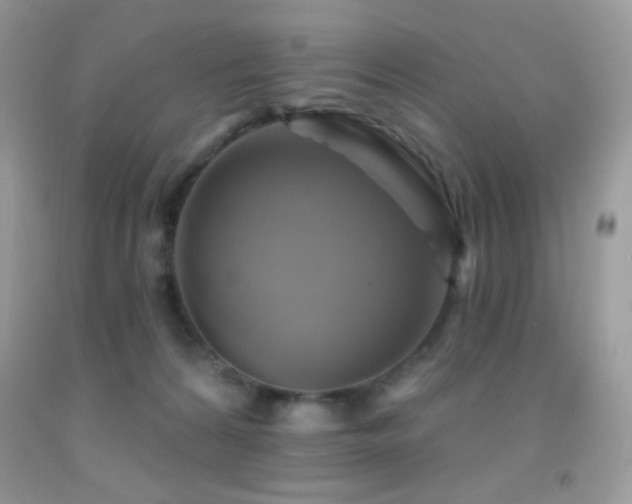 X0000091910224200709051425
