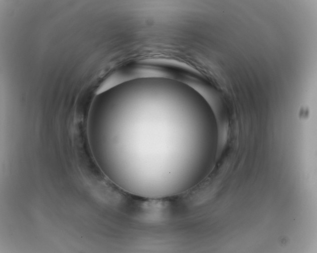 X0000091910225200709051425