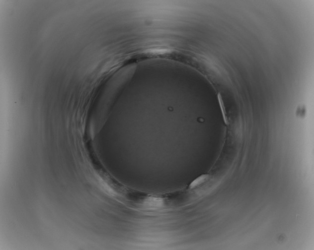 X0000091910227200709051425