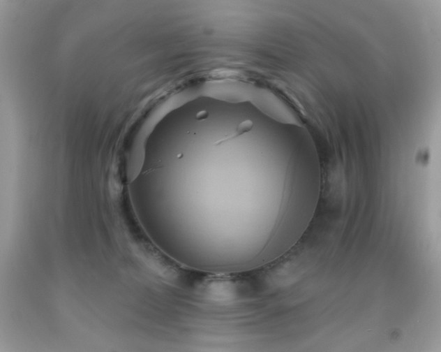 X0000091910228200709051425
