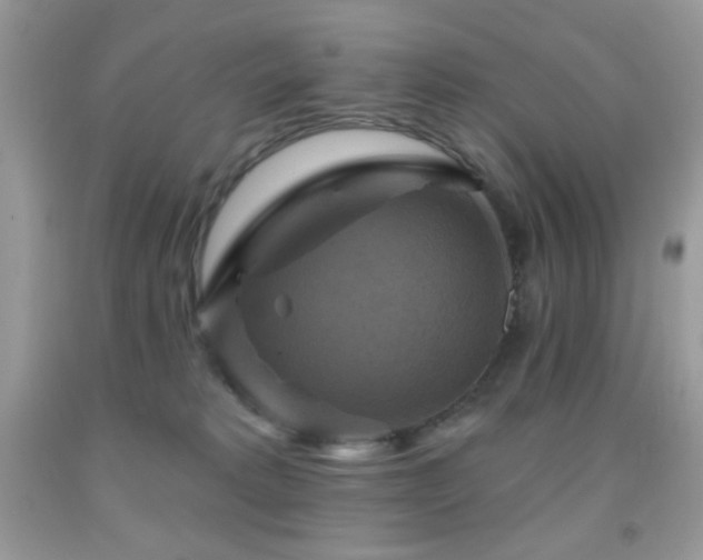 X0000091910229200709051425