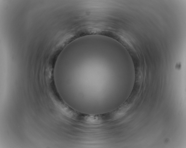 X0000091910230200709051425
