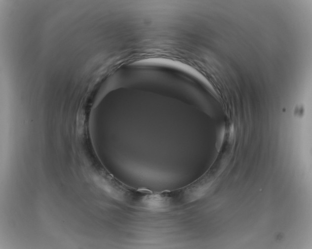 X0000091910231200709051425
