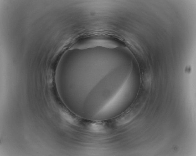 X0000091910232200709051425