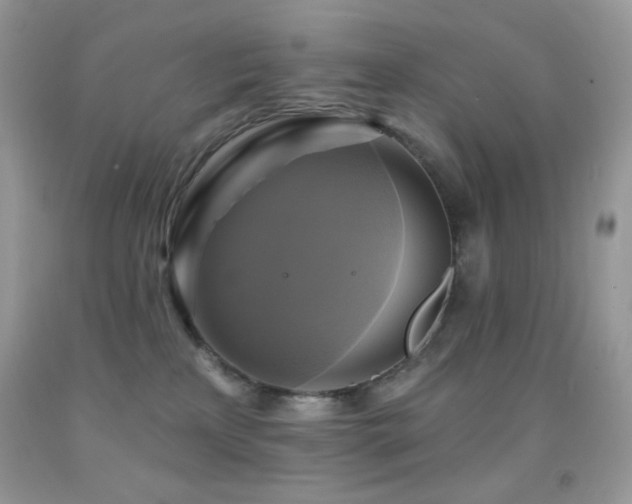 X0000091910233200709051425