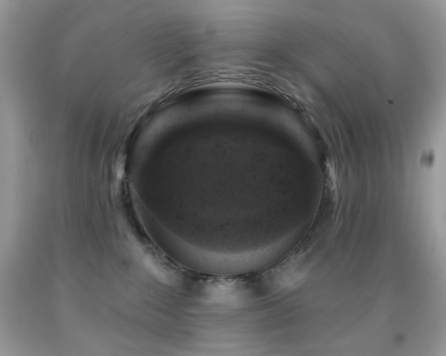 X0000091910235200709051425