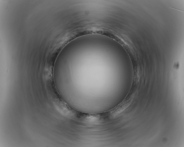 X0000091910236200709051425