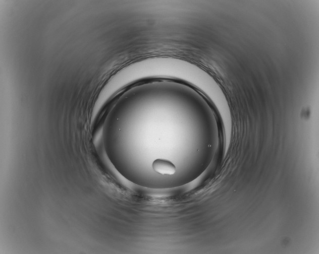X0000091910237200709051425