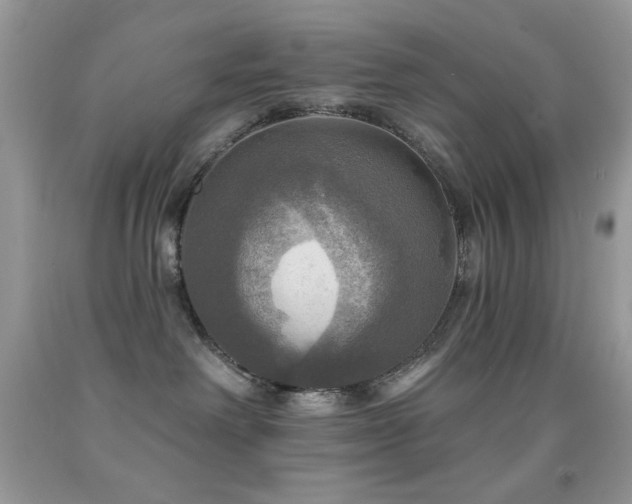 X0000091910238200709051425