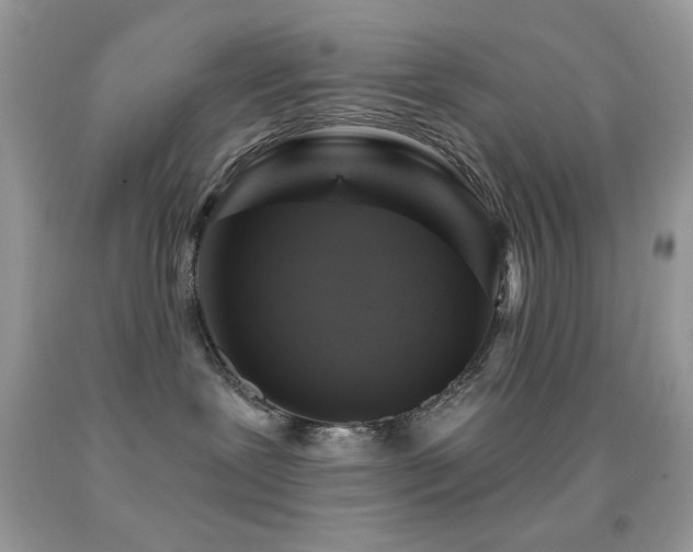 X0000091910239200709051425