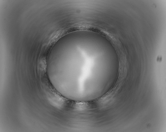 X0000091910240200709051425
