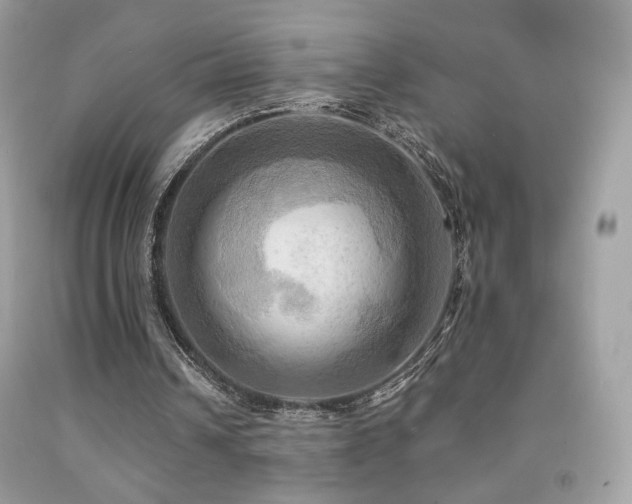 X0000091910242200709051425