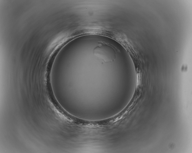 X0000091910243200709051425