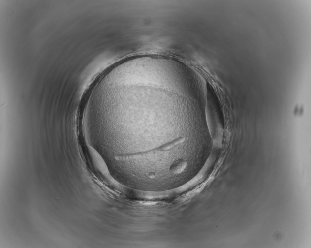 X0000091910244200709051425