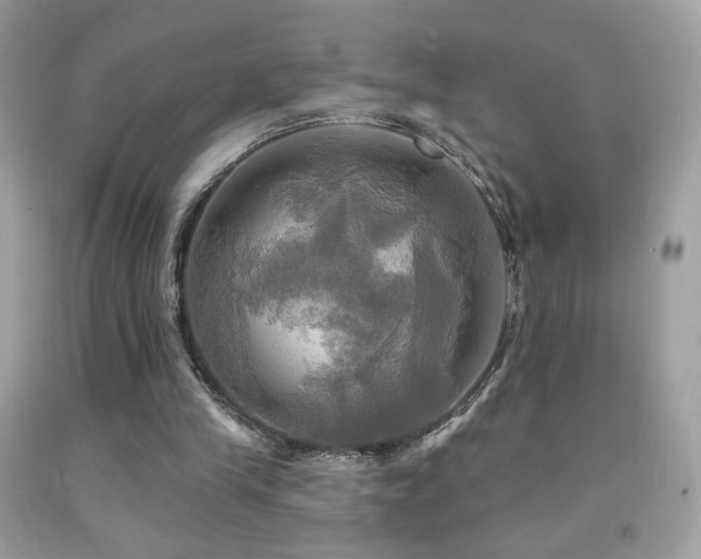X0000091910245200709051425