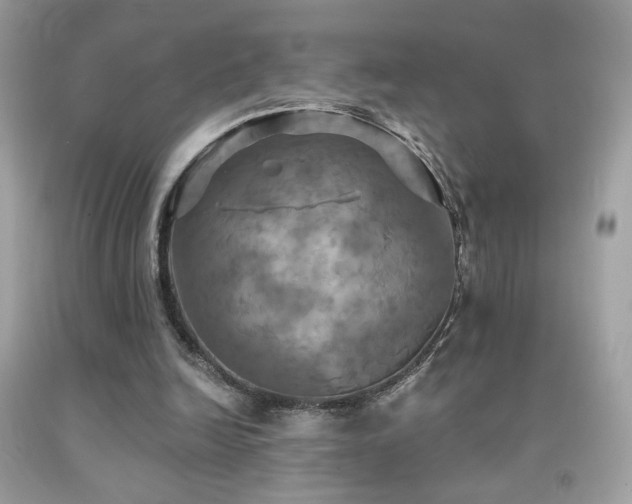 X0000091910246200709051425