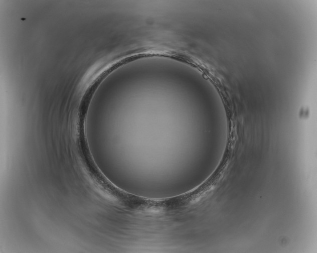 X0000091910247200709051425