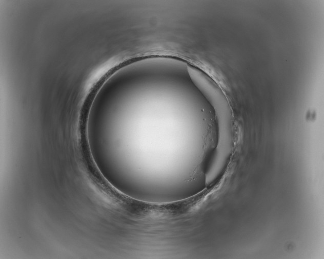 X0000091910248200709051425