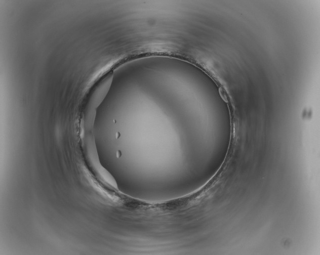 X0000091910249200709051425