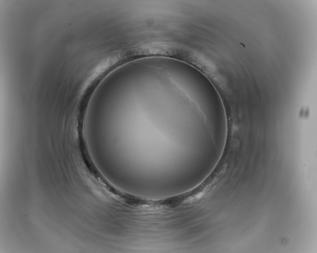X0000091910250200709051425