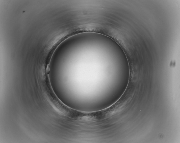 X0000091910251200709051425