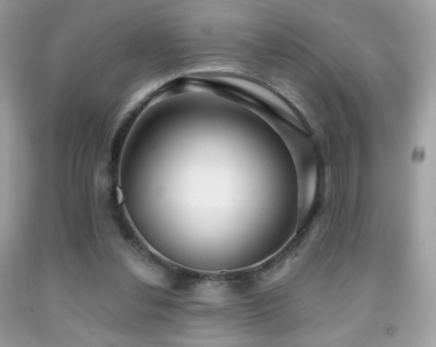X0000091910252200709051425