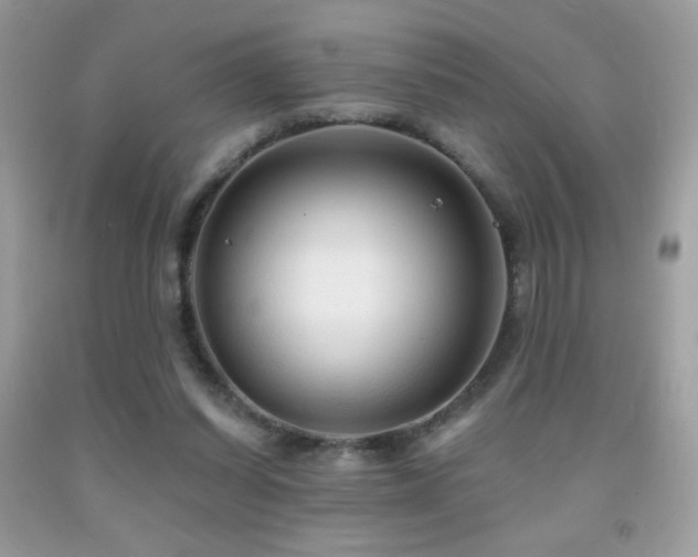 X0000091910254200709051425