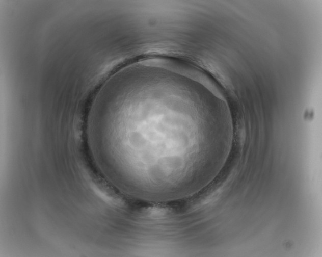 X0000091910255200709051425