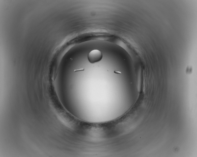 X0000091910256200709051425