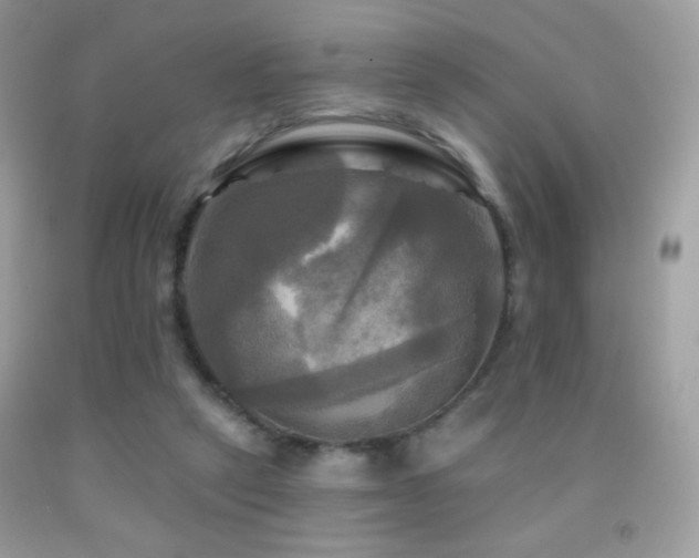X0000091910257200709051425