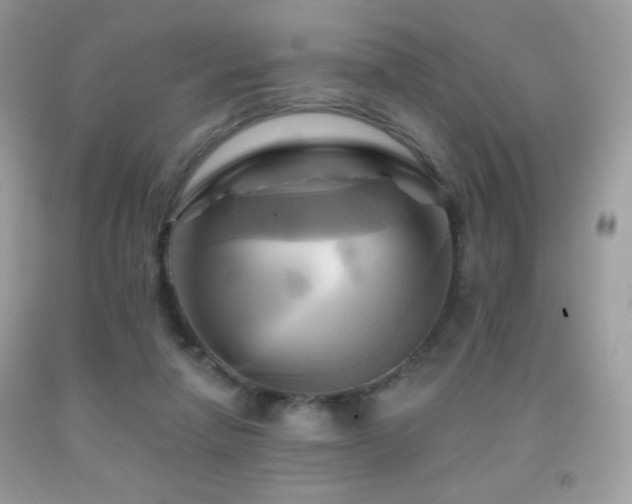 X0000091910258200709051425