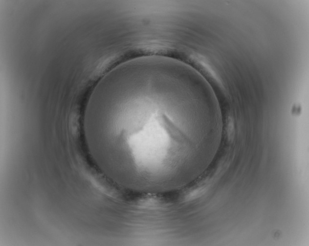 X0000091910259200709051425