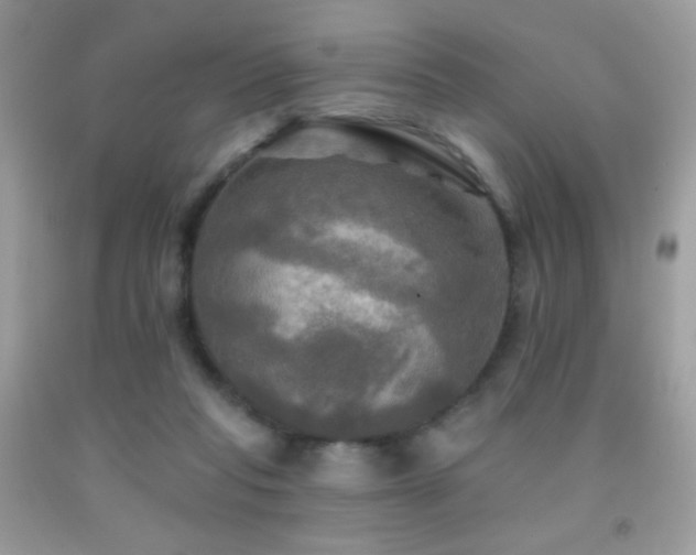 X0000091910261200709051425