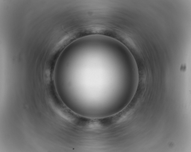 X0000091910262200709051425
