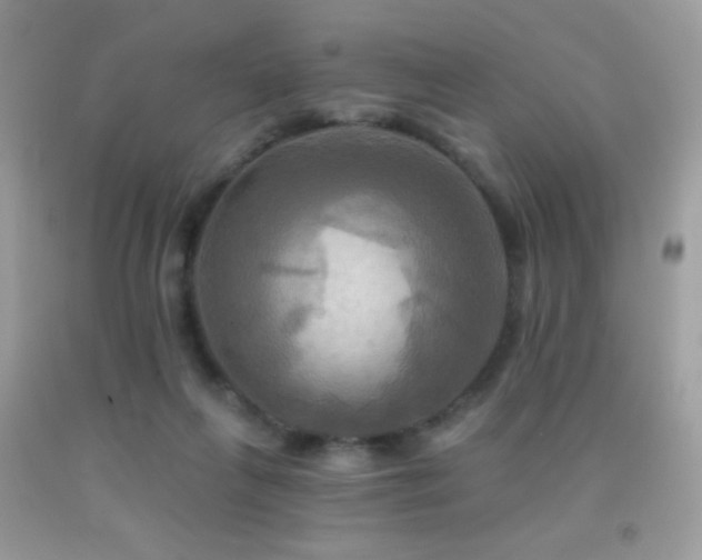 X0000091910263200709051425