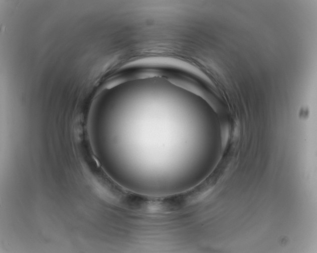 X0000091910264200709051425