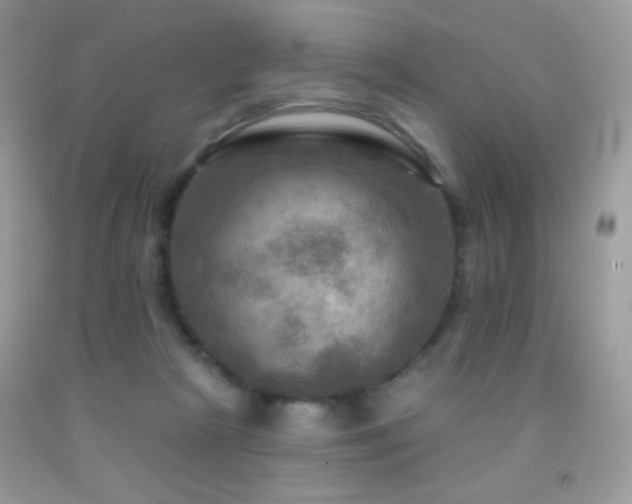 X0000091910265200709051425
