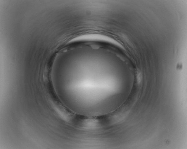 X0000091910266200709051425