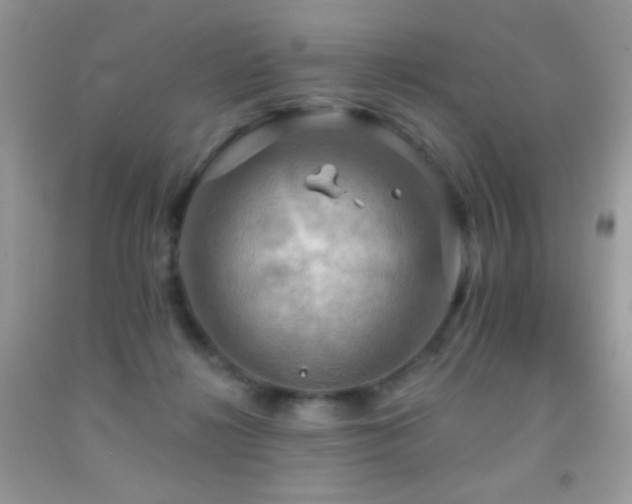 X0000091910268200709051425