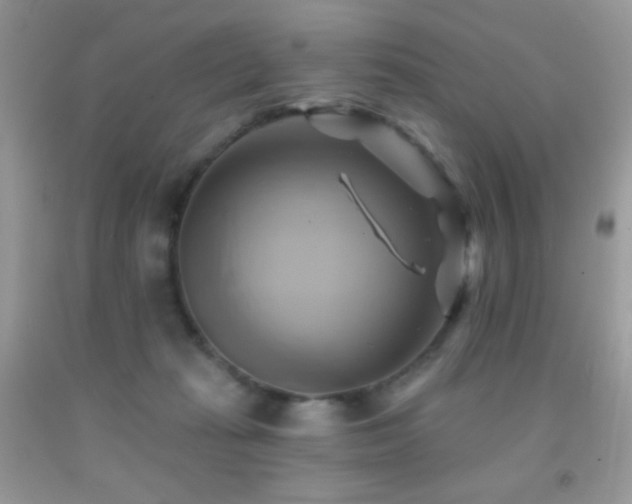 X0000091910269200709051425