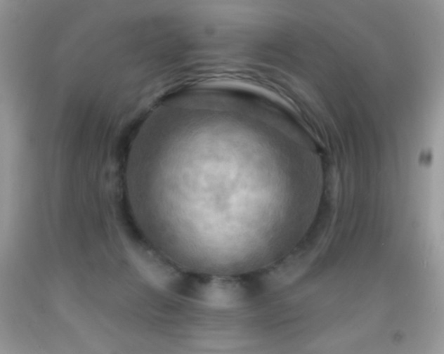 X0000091910270200709051425