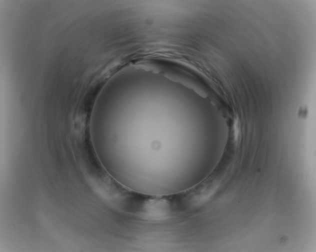 X0000091910271200709051425