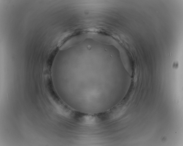 X0000091910272200709051425