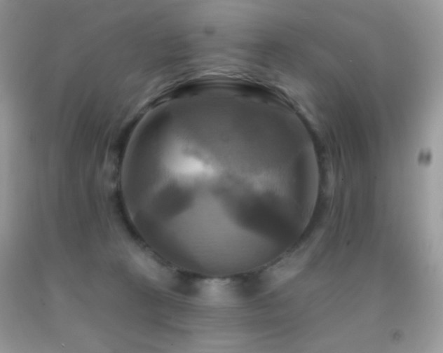 X0000091910273200709051425