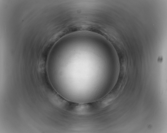 X0000091910274200709051425