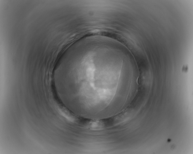 X0000091910275200709051425