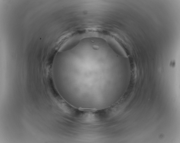 X0000091910276200709051425