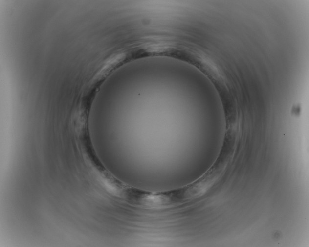 X0000091910277200709051425