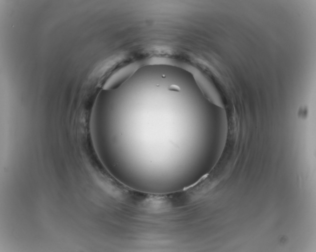 X0000091910280200709051425
