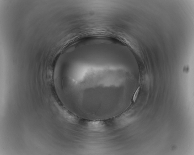 X0000091910281200709051425